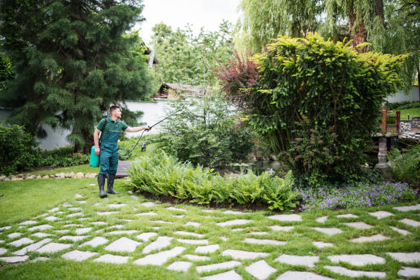Best Fruit Tree Pruning  in Chehalis, WA